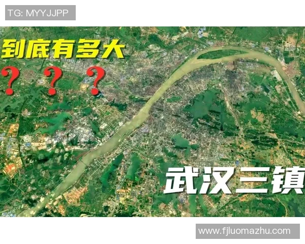 武汉排球队战术深度解析与对比分析全景揭秘